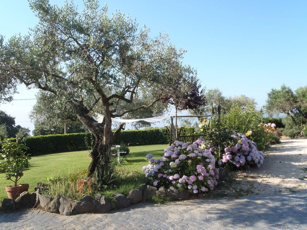 Appartement Il Poggio Degli Ulivi à Trevignano Romano Chambre photo