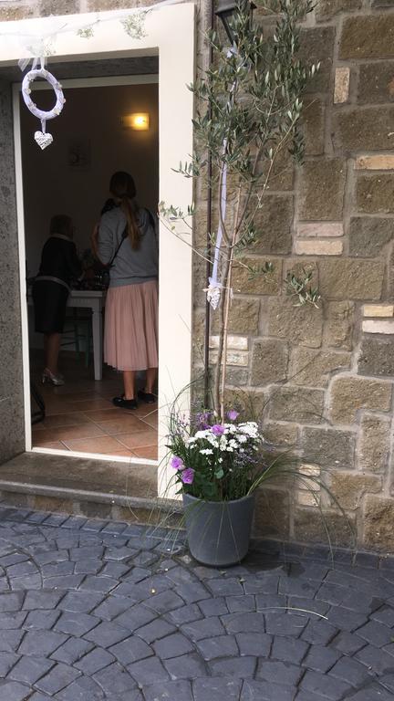 Appartement Il Poggio Degli Ulivi à Trevignano Romano Extérieur photo