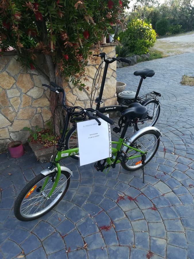Appartement Il Poggio Degli Ulivi à Trevignano Romano Extérieur photo