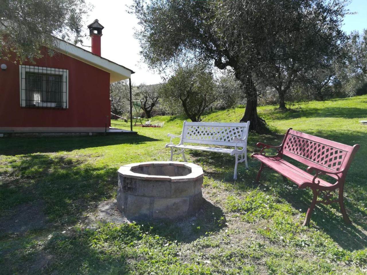 Appartement Il Poggio Degli Ulivi à Trevignano Romano Extérieur photo