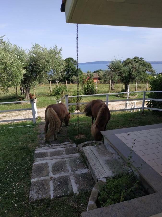 Appartement Il Poggio Degli Ulivi à Trevignano Romano Extérieur photo